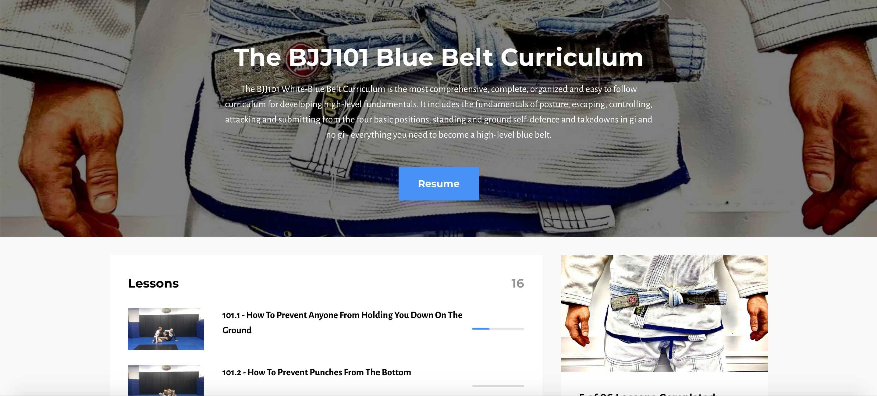 The BJJ101.tv Blue Belt Curriculum